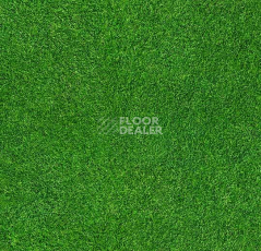 Ковролин ForboFlotex Vision Image 000369 Grass фото 1 | FLOORDEALER